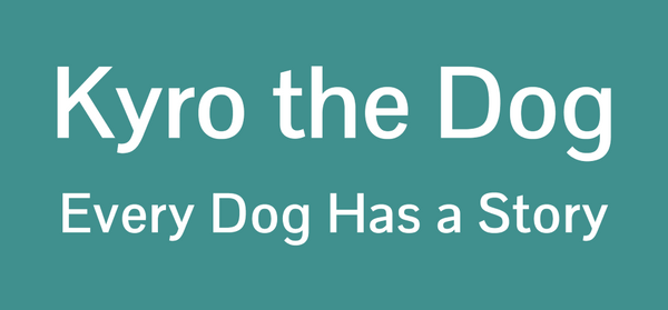 Kyro The Dog